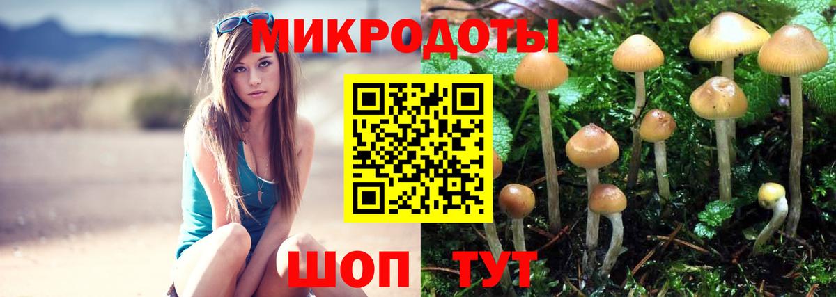 Кубинка  Псилоцибиновые грибы мухоморы  Вход с VPN  Псилоцибиновые грибы мицелий 